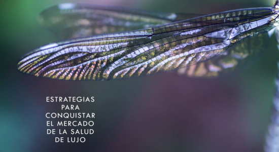 Marketing para Marcas de Lujo en el Sector Salud: Estrategias para Conquistar el Mercado